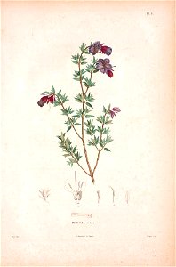 n245_w1150