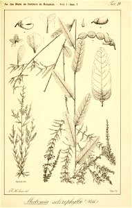 n110_w1150
