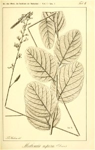 n80_w1150