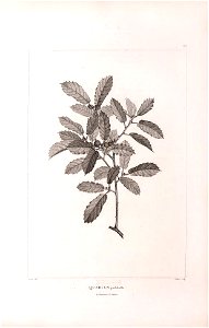 n437_w1150