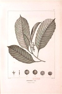 n502_w1150