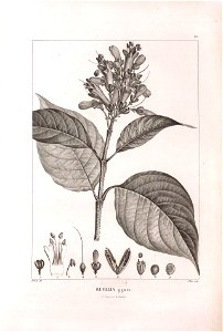 n496_w1150