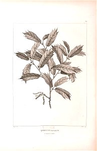 n435_w1150