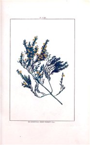 n34_w1150