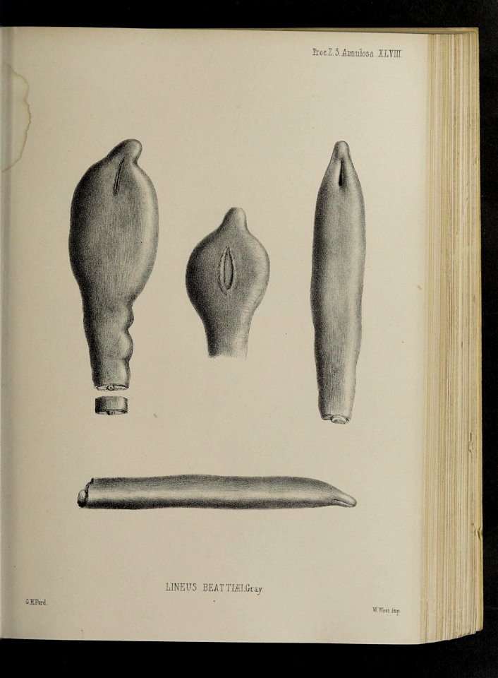 n108_w1150