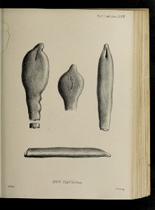 n108_w1150