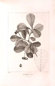 n431_w1150