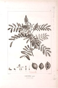 n486_w1150