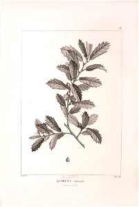 n427_w1150