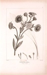 n369_w1150
