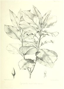 n186_w1150