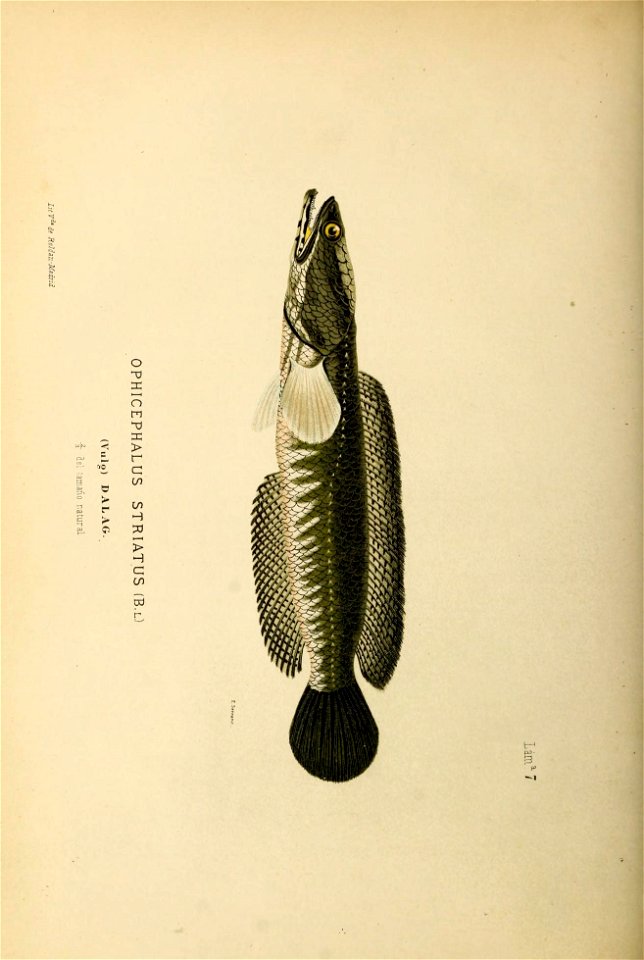 n245_w1150