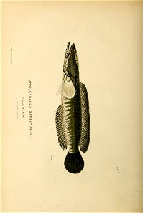 n245_w1150