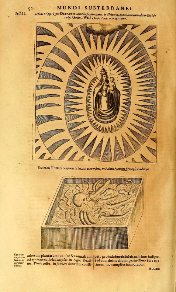 n493_w1150