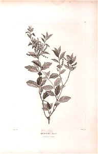 n451_w1150