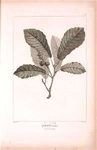 n399_w1150