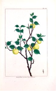 n194_w1150