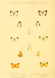 n141_w1150