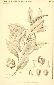 n694_w1150