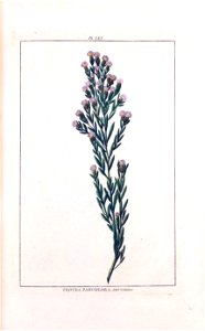 n128_w1150