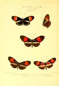 n153_w1150