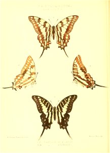 n113_w1150