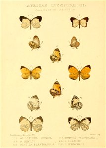 n117_w1150