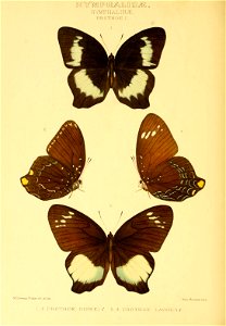 n393_w1150