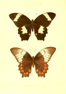 n99_w1150