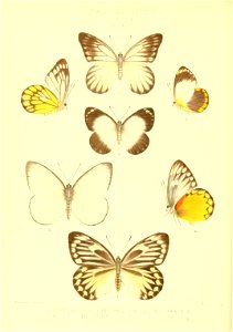 n179_w1150