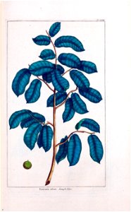 n150_w1150
