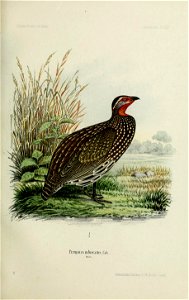 n66_w1150