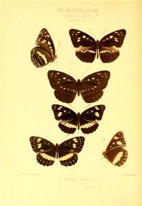 n299_w1150
