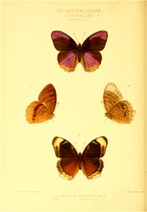 n217_w1150