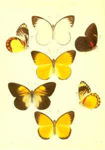 n173_w1150