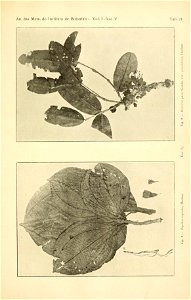 n578_w1150