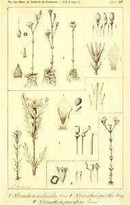 n548_w1150