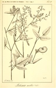 n102_w1150