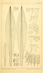 n218_w1150