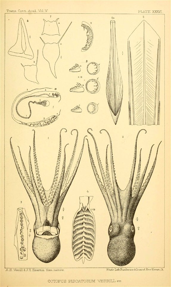 n216_w1150