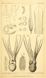n216_w1150