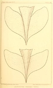 n106_w1150