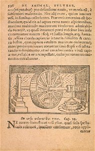 n465_w1150