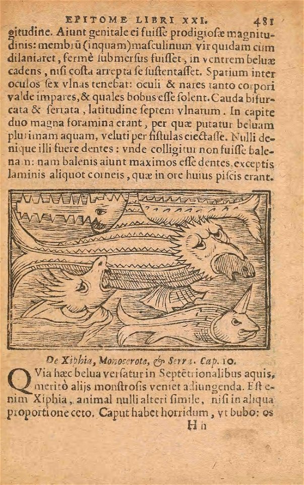 n548_w1150