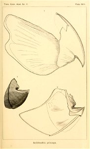 n104_w1150