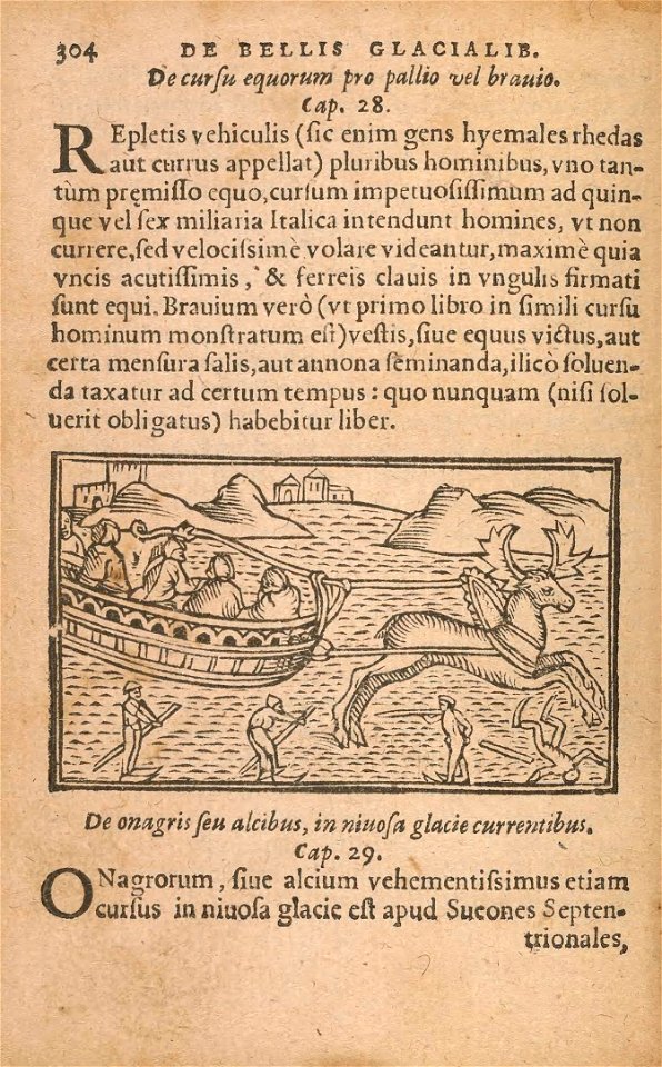 n371_w1150