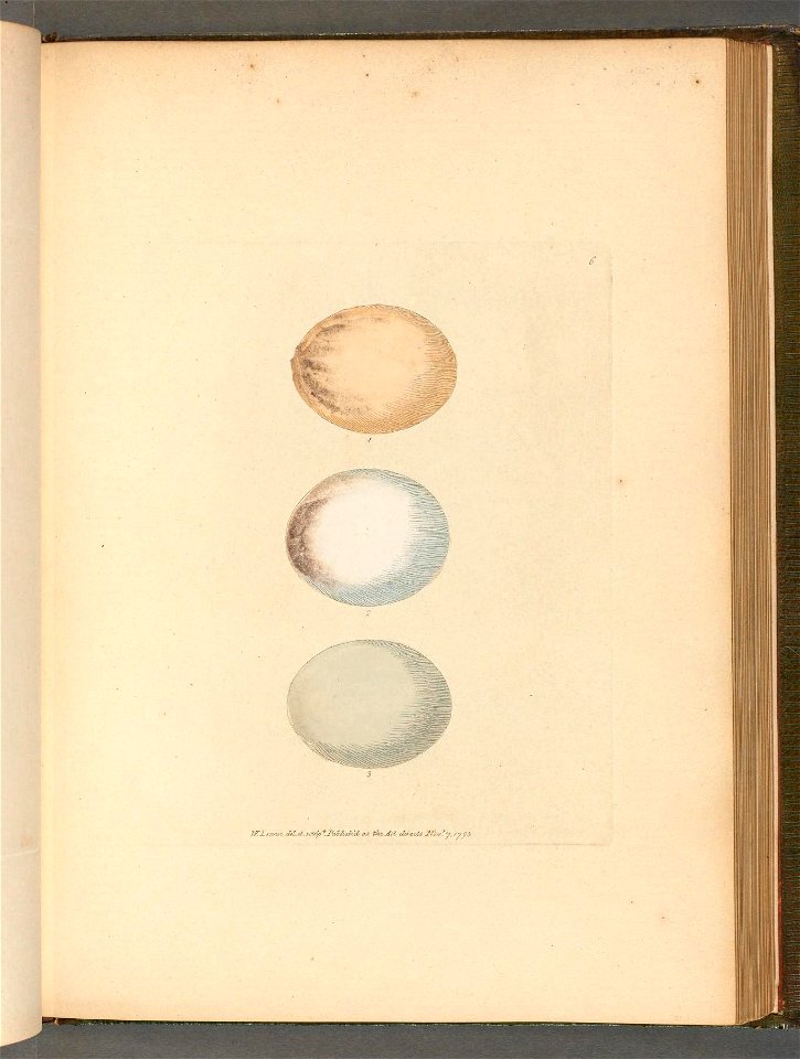 n123_w1150