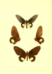 n129_w1150