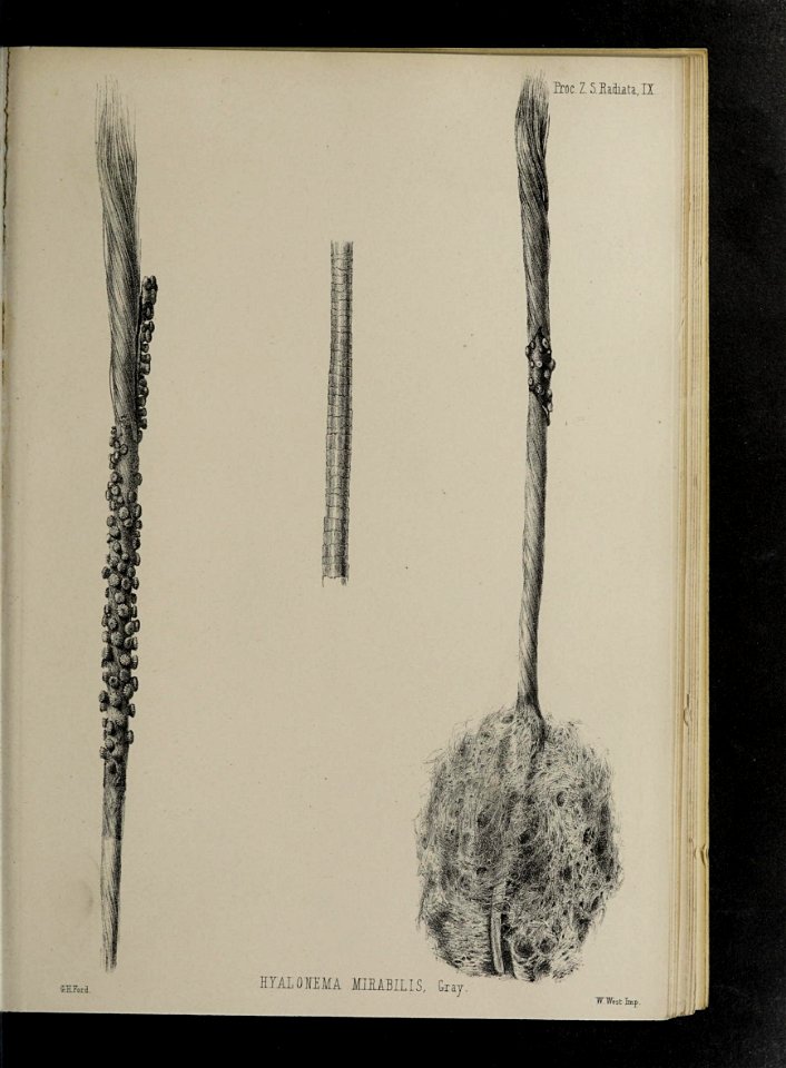 n176_w1150