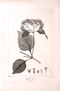 n512_w1150